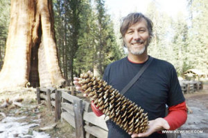 Ike Weber: pelas Américas