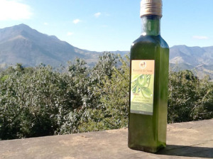 Pomares de oliveiras nas encostas da Serra da Mantiqueira e o azeite extravirgem Resserva do Sauá