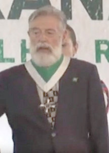 Hélio de Freitas Puglielli