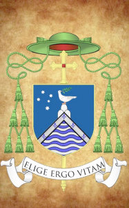 Braz_o-de-Ricardo-Hoepers