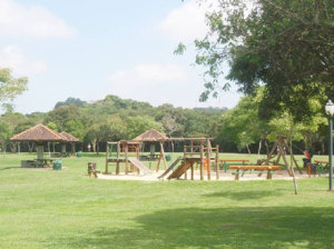 O verde dos parques, como esse do Parque Barigui