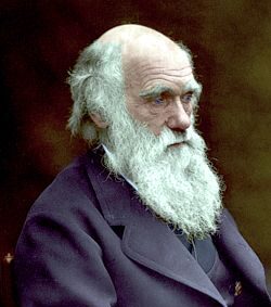 96-charles darwin