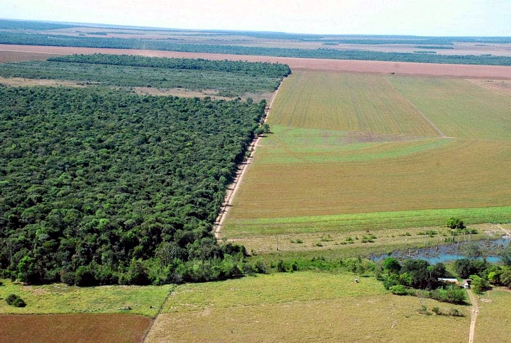 Área de reserva legal