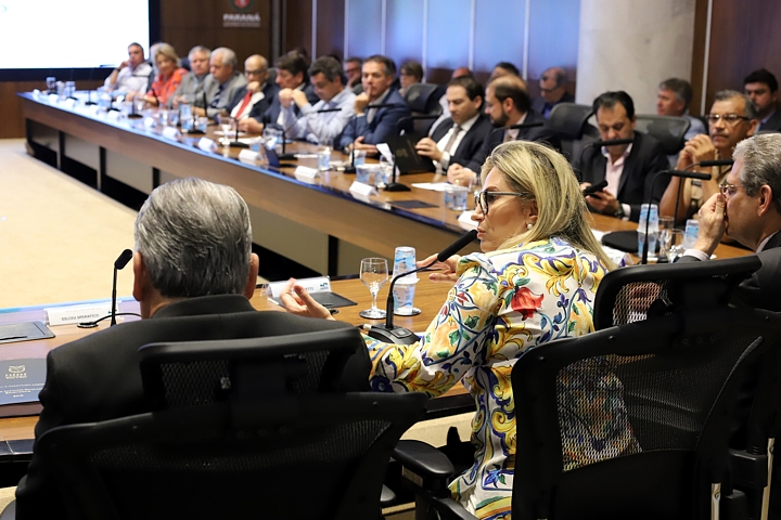 Governadora Cida Borghetti em reunião do secretariado (Foto: José Fernando Ogura/ANPr)