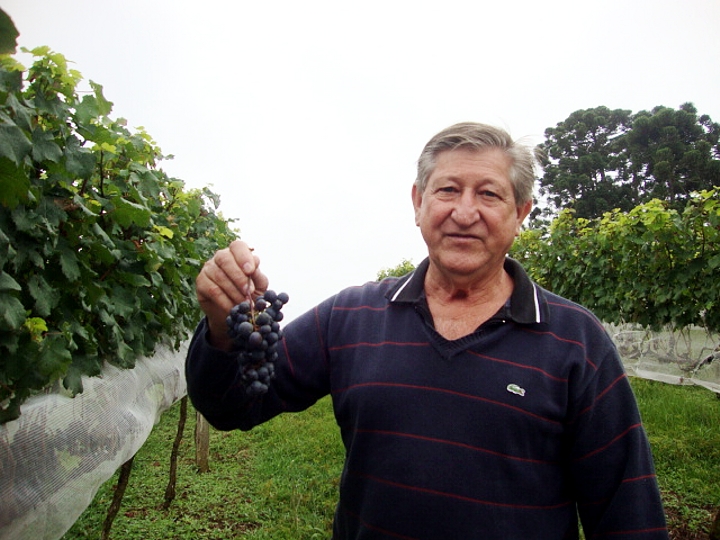 Renato Adur, na Vinícola Araucária
