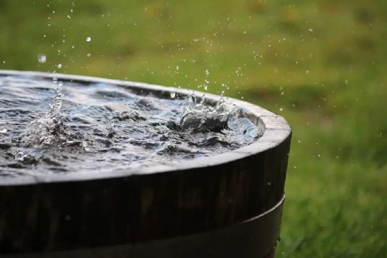 Cresce a procura por edifícios com captação de água de chuva