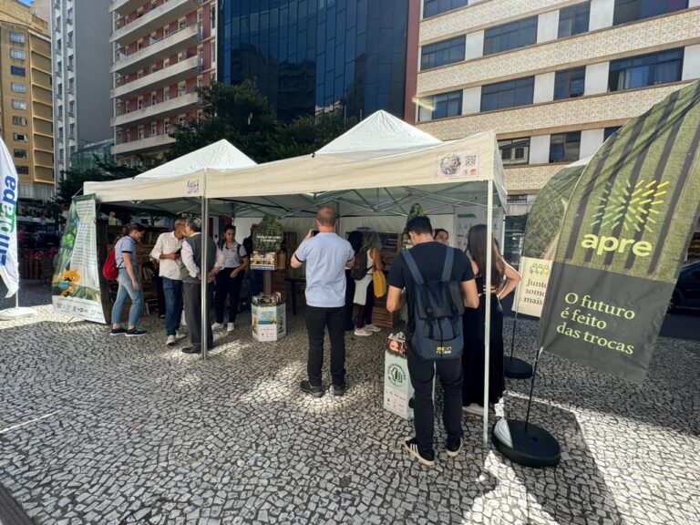 Dia do Livro: confira ações pela data em Curitiba