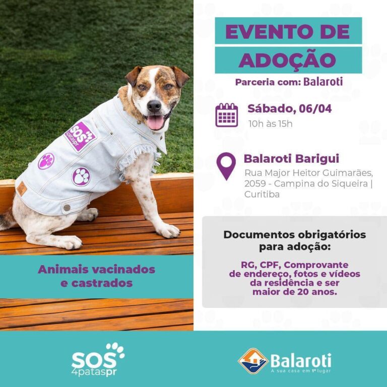 Curitiba tem feira de adoção de cães neste sábado