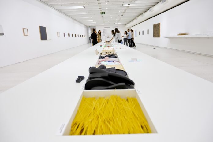 Atividades Veemente MON - Foto Antônio More 4