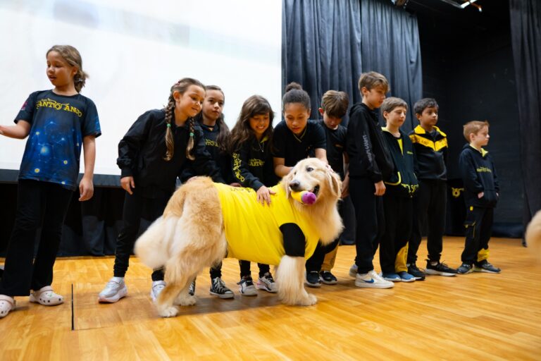 Ações preventivas para combater o bullying no ambiente escolar