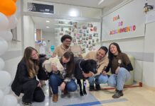 Ovelhas visitam hospital em ação de Pet Terapia com pacientes