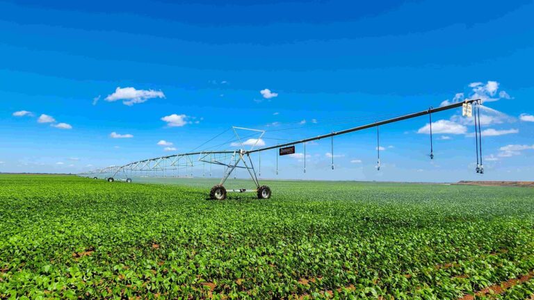 “Super El Niño” ameaça estabilidade da safra